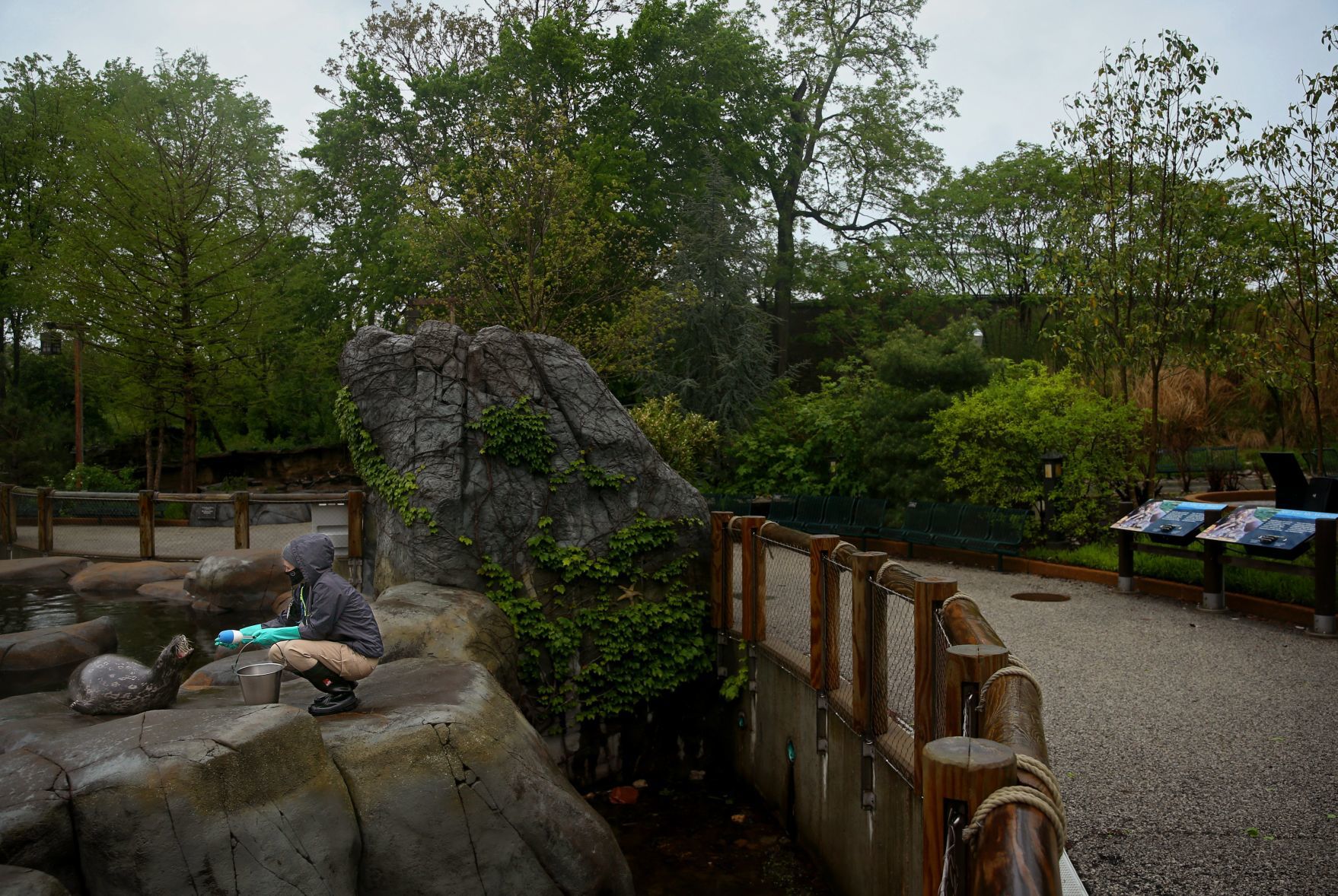 Most work continues at St. Louis Zoo despite coronavirus